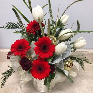 Meet your Posher, Tina